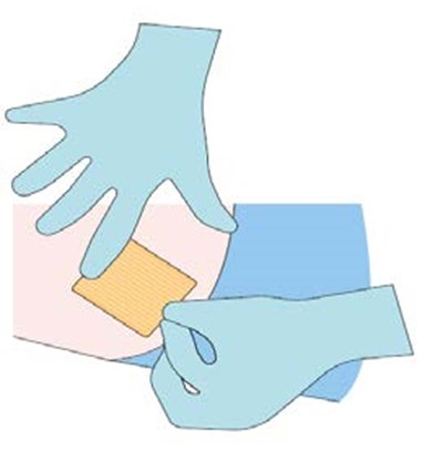 Step 8 (Step 8)